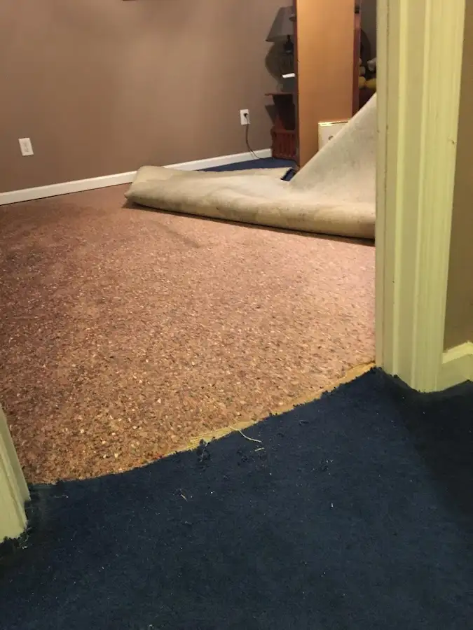 Carpet pad removal revealing water damage during Water Mitigation Services in Richfield