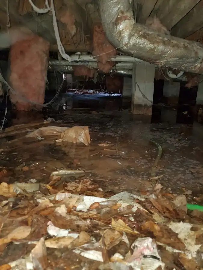 Crawl space flood assessment for Leak Detection & Repair in Richfield